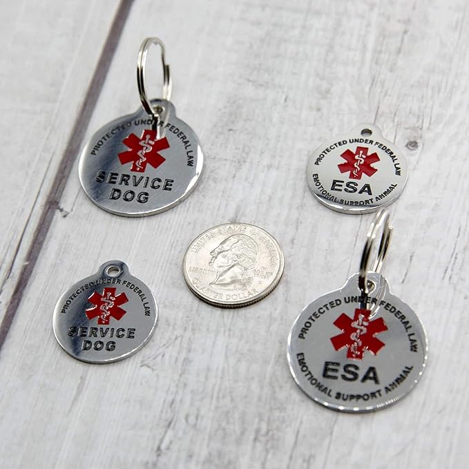 Engraved Service Dog Personalized with 4 Lines of Custom Engraved ID Stainless Steel Enameled Regular