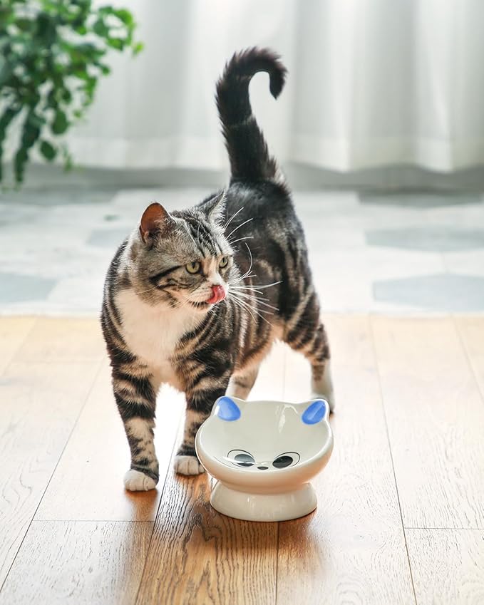 Raised Cat Food Bowl Ceramic 15° Tilted Cat Food Bowls Protect Cat's Spine Anti Vomiting Backflow Prevention Bowls for Adult Cats, Kitten, and Small Dogs, Blue