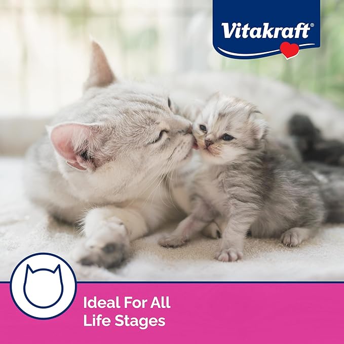 Vitakraft Lick 'n' Lap Snack Creamy, Cat Treat with Real Salmon, 80 Count