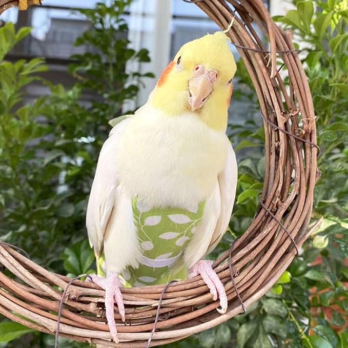 Bird Diaper Harness Flight Suit Clothes, Parrot Flight Suit with Leash for Parrot, Bird Flying Clothes with Rope for Outdoor Activities Training (Green with Leash,Macaw)