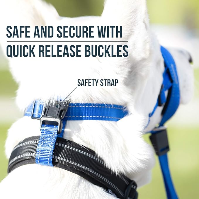 GoodBoy Dog Head Halter with Safety Strap - Stops Heavy Pulling On The Leash - Padded Headcollar for Small Medium and Large Dog Sizes - Head Collar Training Guide Included (Size 4, Blue Nylon)