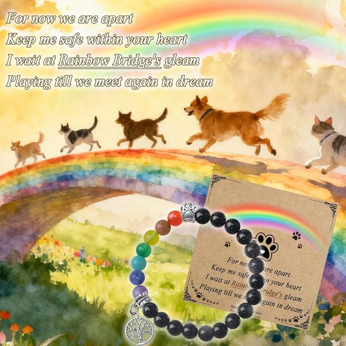 Pet Memorial Gifts, Sympathy Gift for Loss of Dogs and Cats, Chakra Rainbow Bridge Bracelet for Women Men Who Lost Pets