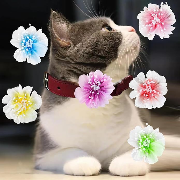 6Pcs Dog Collar Accessories, Floral Charms Decorations for Dogs and Cats