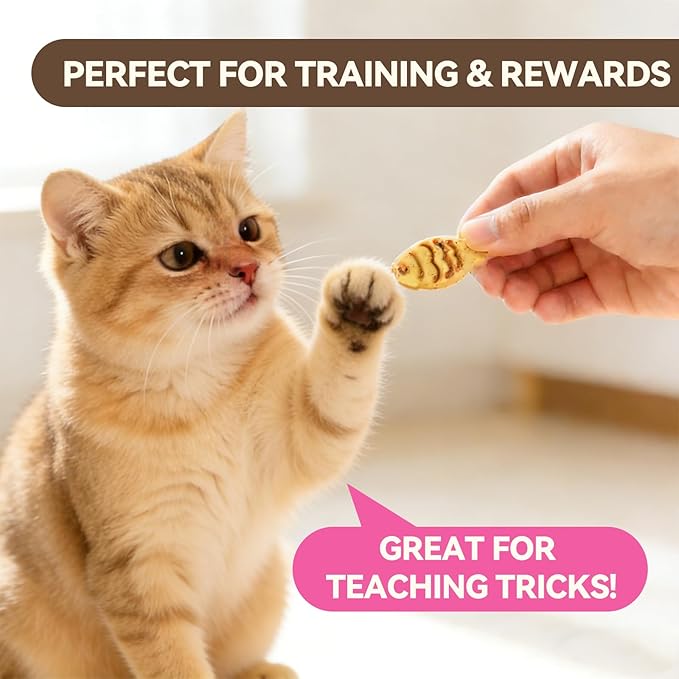 Catnip Cat Treats, Chicken & Salmon Flavor Crunchy Cat Biscuits, Fish-Shaped Training Snacks for Adult Cats, 16 oz