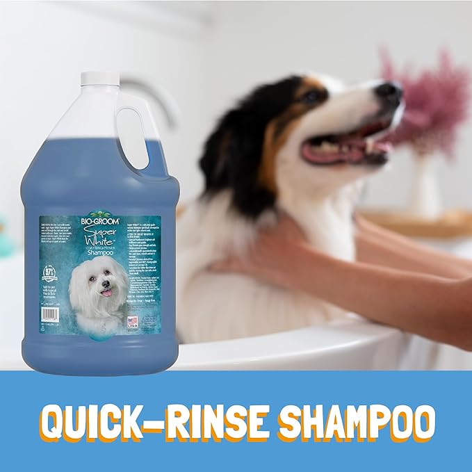 Bio-Groom Super Whitening Dog Shampoo - Whitening Pet Shampoo, Dog Bathing Supplies, Puppy Wash, Dog Grooming Supplies, Cruelty-Free - 12 fl oz 1-Pack