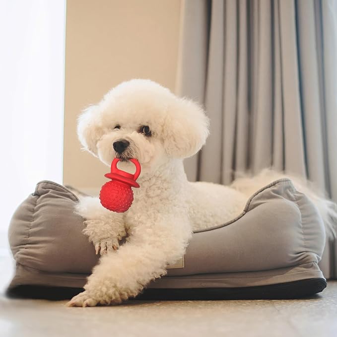 Latex Chew Dog Toys, Novelty Squeaky Pacifier Dog Toys for Teething Puppies, Mild Chewing Small, Medium, Large Dogs, Pet Dogs Supplies Newborn Puppy Gift