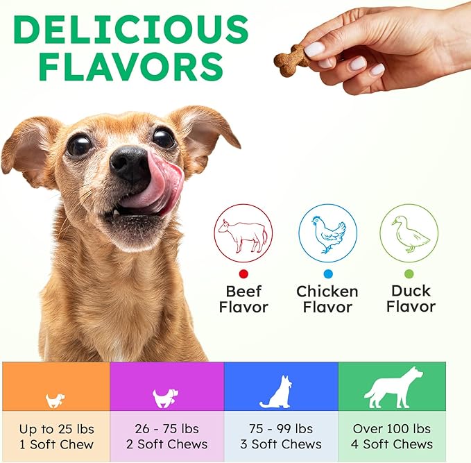 Dog Vitamins and Supplements - 150 Dog Multivitamin Chewable - Immune, Joint Support, Skin, Gut Health + Packed with Omega 3s, Glucosamine & Probiotics - Safe for Puppy - Duck