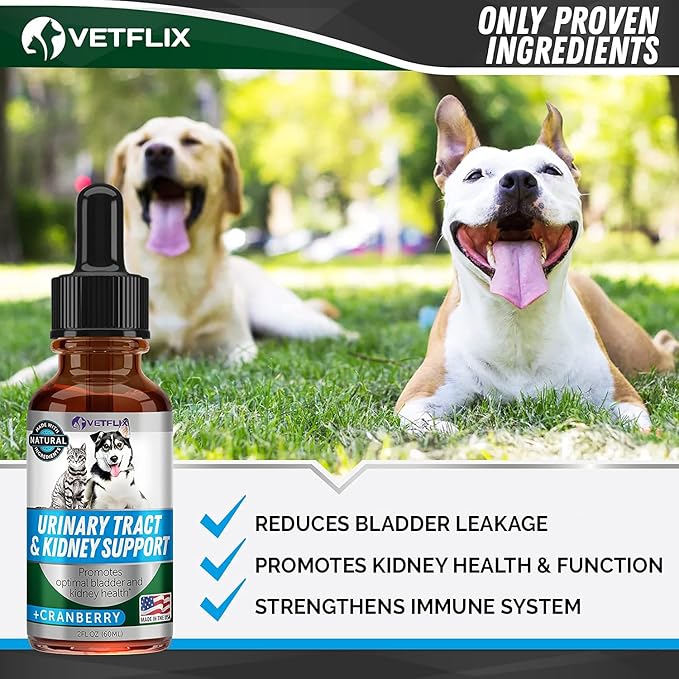 Cranberry UTI & Kidney Support for Dogs & Cats - Made in USA - Natural Urinary Tract Health Supplement - Supports Immune & Bladder Function - 2 Fl Oz