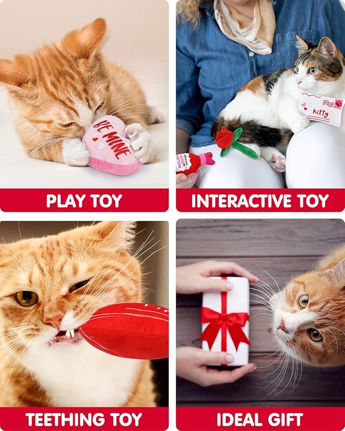CiyvoLyeen Valentine's Day Catnip Toys Set of 5 Soft Valentine Letter Plush Cat Toys Interactive Catnip Filled Kitty Supplies for Cat Lovers Gift Heart Rose Love Letter Cat Teething Chew Toy