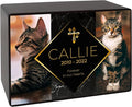 Custom Pet Keepsake Urns for Cats, Wooden Box for Pet Ashes with Photo for Your Beloved Pets, Pet Cremation Urns as Sympathy Gifts for Pet Lovers - Small, 6" x 4" x 2.75" Pet Urn (Callie)