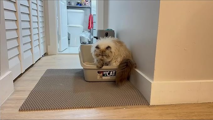 XL Extra Large Cat Litter Box Trapping Mat Honeycomb Tracking Catcher for Indoor Floor, Washable Waterproof Kitty Litter Tray Pads, Keep Your Home Easy Clean, Non Slip and Deodorizing 48x36 Inch