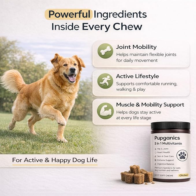 Pupganics Multivitamin Soft Chews for Dog, Dog Vitamins and Supplements for Immune System, Joint Support, Skin, Gut Health, with Probiotics, Glucosamine, Vitamin A/D3/E, Chicken Flavor, 60 Count (1)
