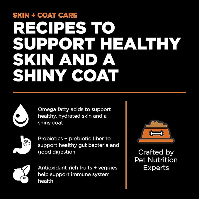 Go! Solutions Skin + Coat Care Salmon Grain-Free Dry Cat Food, Chicken-Free, Healthy Kibble with Omega-3s & 6s for Soft, Shiny Fur, for Kittens, Adults, & Seniors, 3 lb Bag