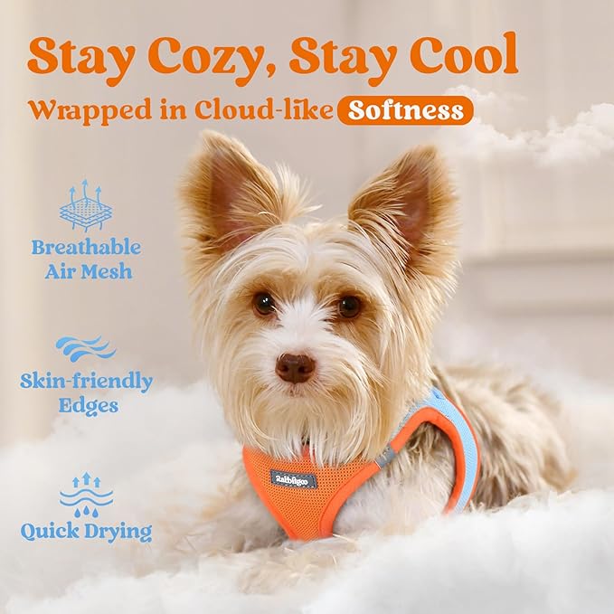rabbitgoo Small Dog Harness, Step-in Soft Mesh Puppy Vest with Safety Buckle, Breathable Reflective Pet Harness for Small Sized Dogs, Blue & Orange S