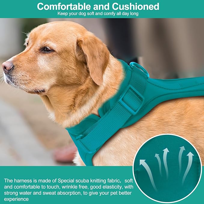Wisedog No Pull Lightweight Dog Vest Harness with Soft and Comfortable Cushion, Breathable Mesh, for Small Medium Large Dogs Walking (S(Neck: 9.84"-14.17";Chest: 14.17"-22.05"), Emerald Green)