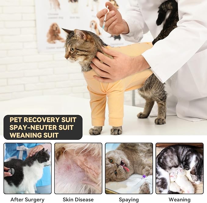 Cat Recovery Suit, Spay Suit for Female Male Cat, Breathable Cat Body Suit Post Surgery, Cone of Shame Alternative Recovery Suit for Cats to Stop Licking, Cat Outfits for Cats After Surgery(Orange, M)