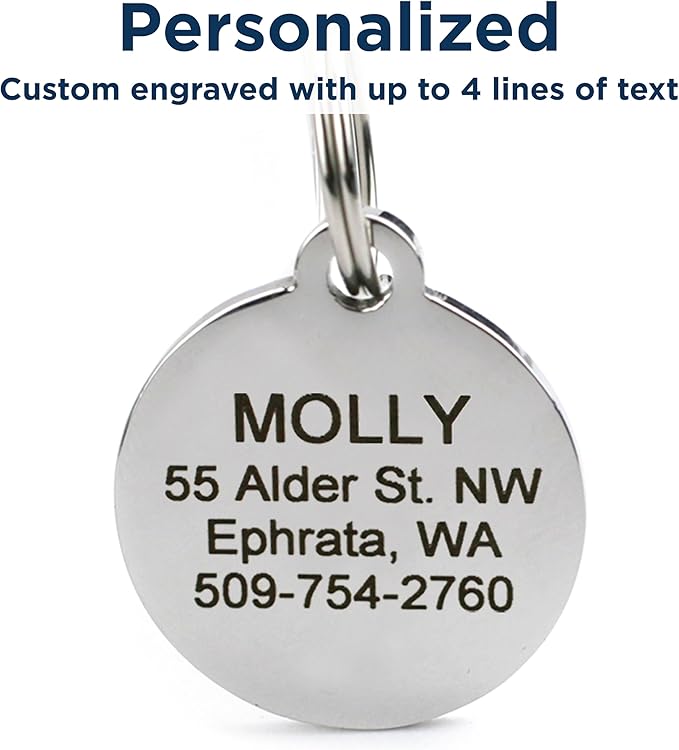 GoTags Designer Pet ID Tags in Stainless Steel for Dogs and Cats, Custom Engraved with 4 Lines of Personalized ID, Cute, Unique Pet Tags in Several Fun Designs