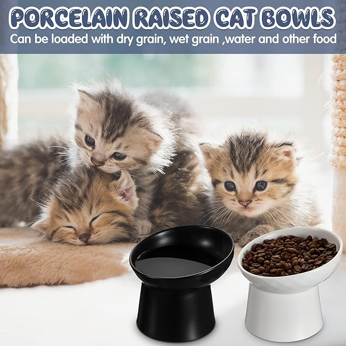 Tanlade 4 Pcs Ceramic Raised Cat Bowls, Elevated Tilted Cat Bowl for Food Water, Stress Free, Backflow Prevention, Dishwasher Microwave Safe, Feeder Dish for Indoor Kitten, Small Dogs(White and Black)