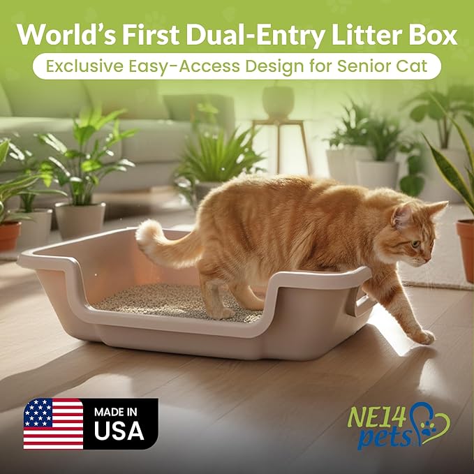 KittyGoHere 2.0 Easy-Entry Cat Litter Box – Large Open-Top Low Entrance Litter Pan with Higher Sides & Two Entrances – Ideal for Senior & Arthritic Cats – Made in USA (Grey)