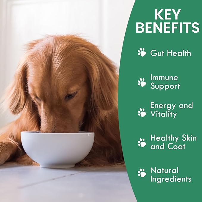 Holistic Bin Canine Beef Liver Dog Food Toppers | Supplement Powder with Iron, B-Complex & Vitamin A | Daily Pet Meal Essentials | for Shiny Coat and Skin Health & Overall Wellness | Beef Liver (50g)