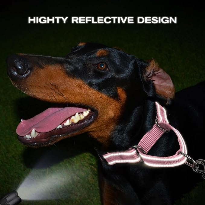 Joytale Martingale Collar for Dogs, Reflective Heavy Duty for Safety, Quick Release Buckle, Adjustable Nylon Collars for Large Dogs Walking Training, Pink, L