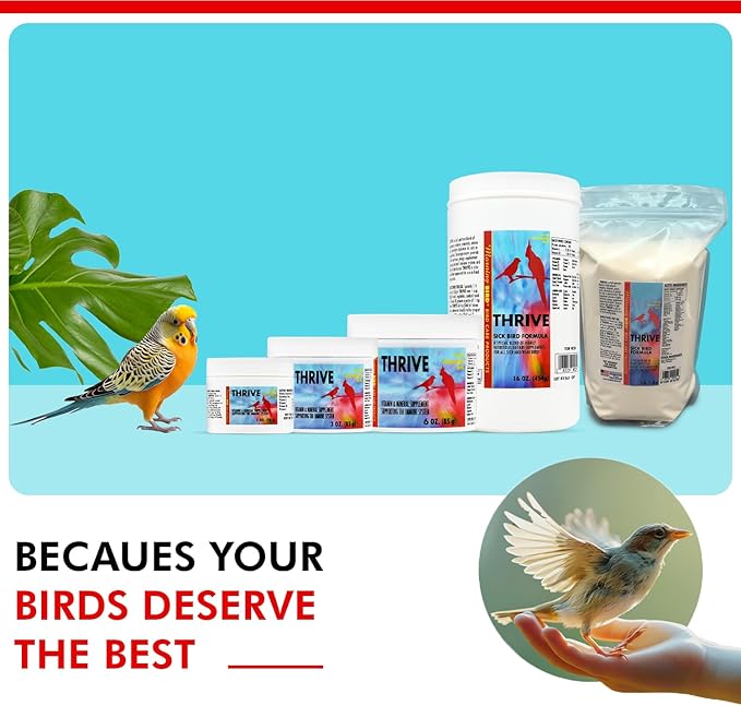 Morning Bird Thrive 3 Oz - Multi-Vitamin Bird Supplement Designed for Immune and Recovery Support - Formulated for Sick or Injured Birds - Protein Supplement and Energy Booster for All Adult Birds