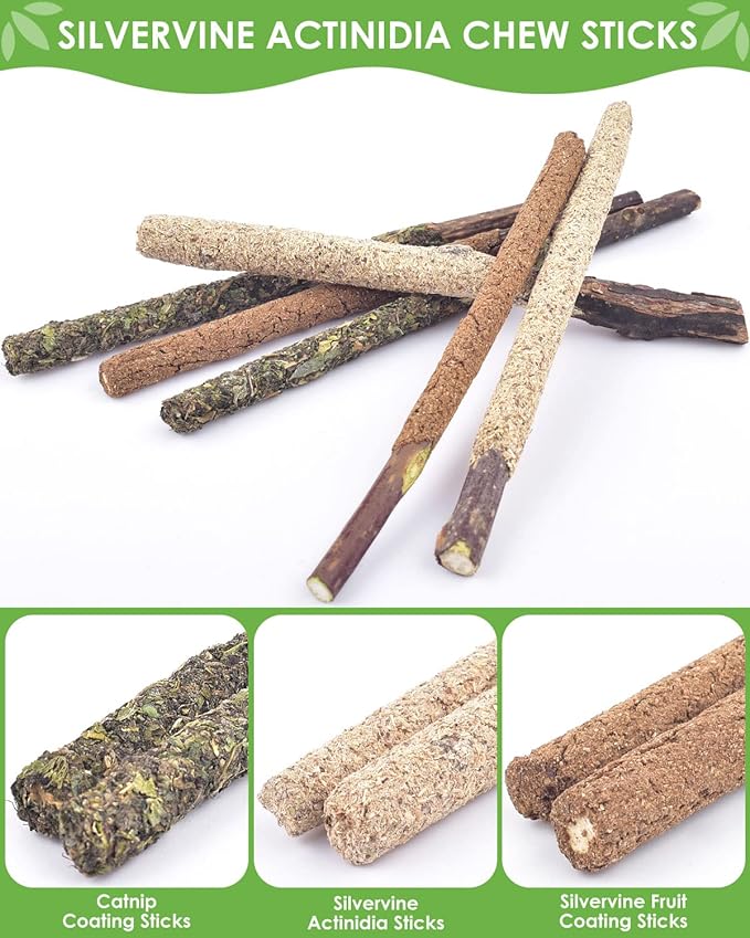 TINDTOP Catnip Chew Toys for Cats, 12 Pack Natural Silvervine Sticks for Kittens Teeth Cleaning, Matatabi Dental Care, Increase Appetite, Calm Cat Anxiety and Stress, Aggressive Chewers Cat Dental Toy