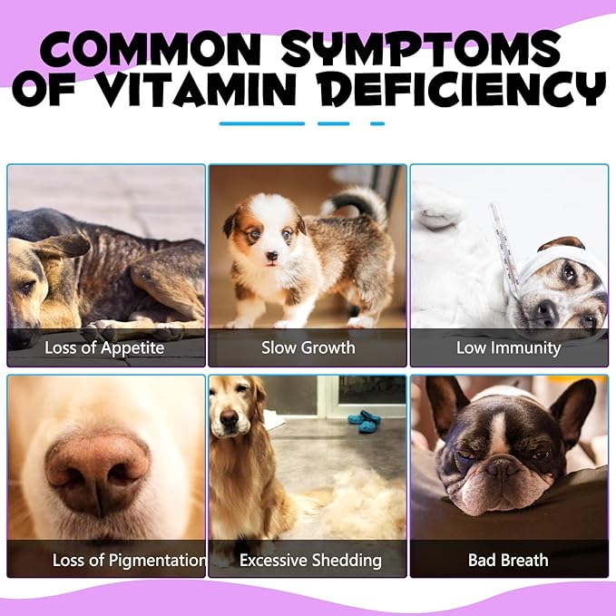 15-in-1 Dog Multivitamin Drops for Dogs | Liquid Multivitamin with Glucosamine, MSM & Omega for Joint, Heart, Immune & Skin Health | Easy Liquid Drops for Picky Eaters
