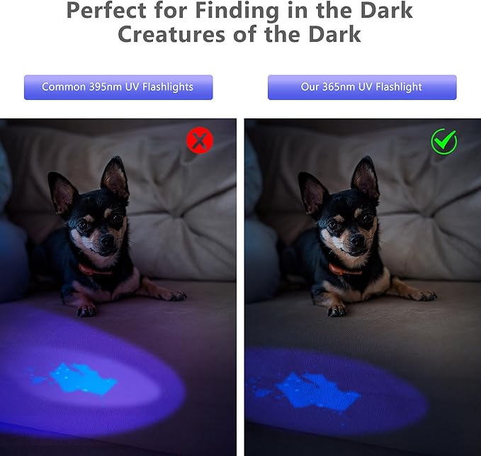 XLENTGEN 365nm High Power Black Mirror UV Light Detection Flashlight, UV Blacklight Light USB Rechargeable, Pet Urine Detector, Resin Curing, Blood Tracking, Appraisal, Fluorescent Detection