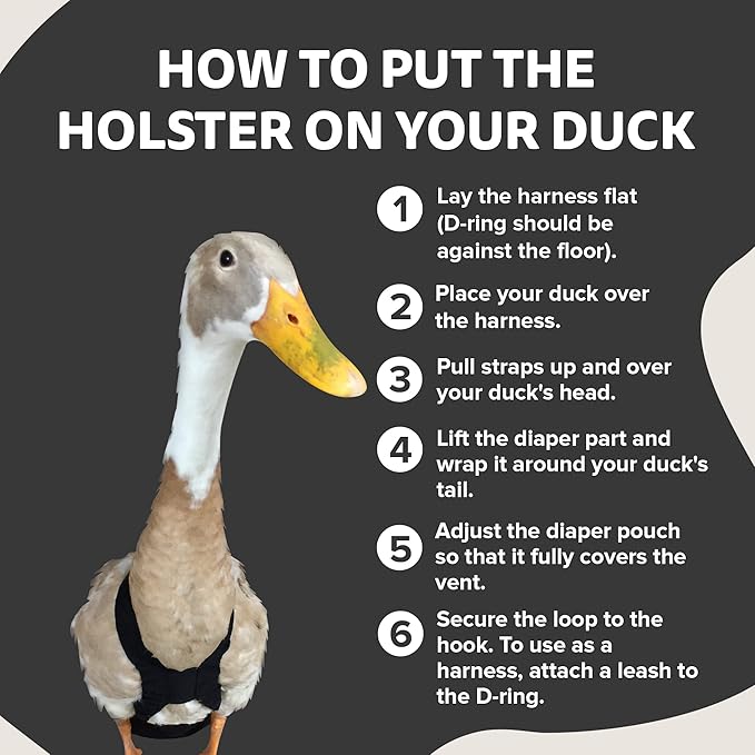 Hen Holster Starter Kit - Wrap-Around Runner Duck Diaper w/ Removable Liner & Fixed Tab - Durable, Secure Fit, Easy-to-Wear - Essential Duck Supplies for Real Ducks, Made in USA - Black