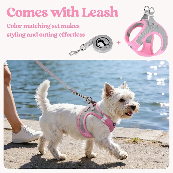 rabbitgoo Dog Harness Small Medium Sized and Leash Set, Step in Soft Light Puppy Vest, Breathable Mesh Pet Harness, Reflective for Safe Easy Walking, Pink & Gray L