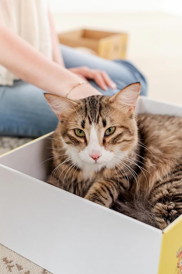 Timmy The Cat’s XL Cardboard Cat Scratcher Box - Snarky Pets Cat Scratch Lounge & Cat Bed - Durable Corrugated Scratch Pad for Large Cats & Chonks-Flat Pack with one pad