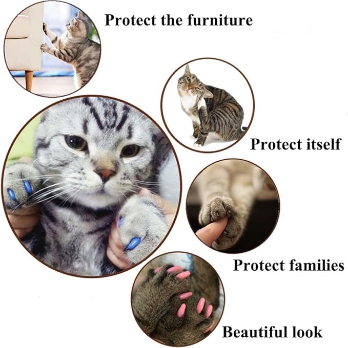 VICTHY Cat Nail Caps, 100pcs Medium Size 5 Colors with Glue and Applicators, Safe and Non-toxic, Prevents Scratching Furniture and People, Protects Cats' Claws, Helps Avoid Scratch Diseases