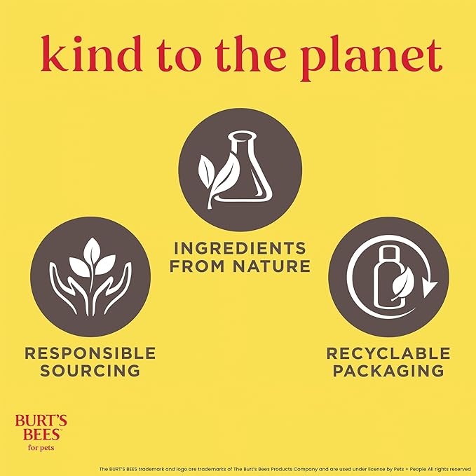 Burt's Bees for Pets Tearless Kitten Shampoo with Buttermilk, 99.3% Natural Origin Formulas, Pet Shampoo for Cats, Gentle Cat Shampoo, Cat Shampoo for Itchy Skin, 10 oz