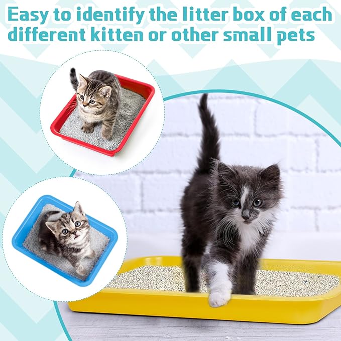 Tessco for you 3 Pcs Kitten Litter Box 17.3 x 13.6 x 1.6 Inch Shallow Low Entry Open Cat Litter Box Waterproof Plastic Small Rabbit Pan Tray Travel Toilet for Senior Cat Kitten Training