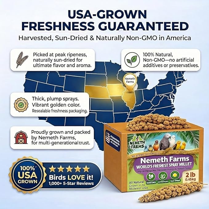 USA Grown Spray Millet for Birds – Midwest Harvest, 2 lbs Premium 100% Natural, Sun-Dried Non-GMO Whole Millet Sprays, Bird Treat for Parakeets, Budgies, Cockatiels, Conures, Lovebirds & Finches
