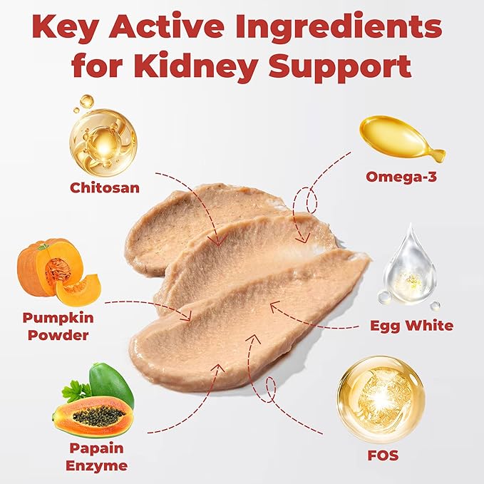 Cat Kidney Support Chitosan & L-Lysine – Boosts Kidney Health & Function, Promotes Toxin Removal, Restores Kidney Function, Enhances Vitality – Natural Ingredients for Cats – 30 Tubes