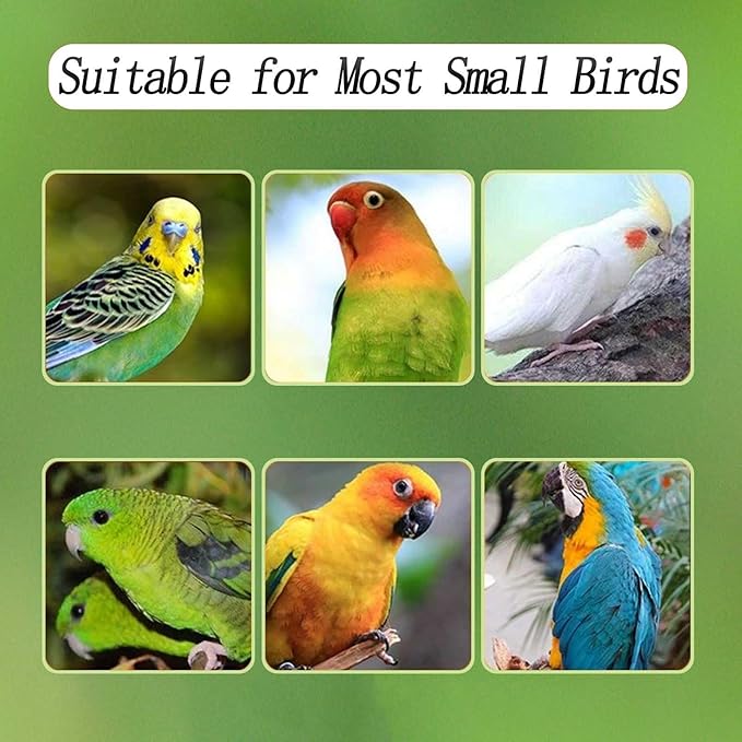No Mess Bird Feeder for Cage, Automatic Acrylic Bird Feeder Seed Catcher Tray Cage with Stainless Steel Hooks for Small Parrots Canary Parakeet Budgerigar Crested Cockatiel Lovebird (Small)