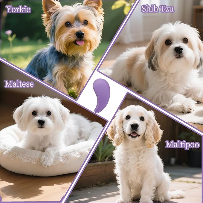 Comma-Shaped Small Dog Brush, Fit for Yorkie, Shih Tzu, Maltese Maltipoo Pomeranian - Gentle Soft Bristles for Effortless Pet Hair Removal, Puppy Essentials (Purple)