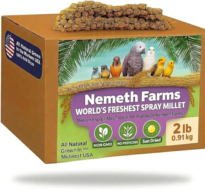 USA Grown Spray Millet for Birds – Midwest Harvest, 2 lbs Premium 100% Natural, Sun-Dried Non-GMO Whole Millet Sprays, Bird Treat for Parakeets, Budgies, Cockatiels, Conures, Lovebirds & Finches
