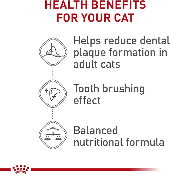 Royal Canin Feline Care Nutrition Dental Care Adult Dry Cat Food, 3 lb Bag