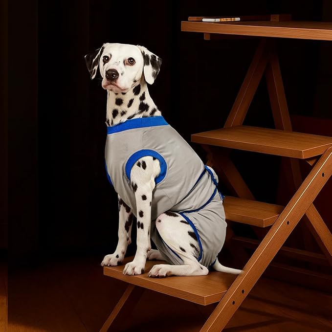 Recovery Suit for Dogs Cats After Surgery, E-Collar & Cone Alternative Surgical Suit, Prevent Licking Dog Onesies Pet Surgery Recovery Suit Soft Dog Bodysuit, Grey Blue, M
