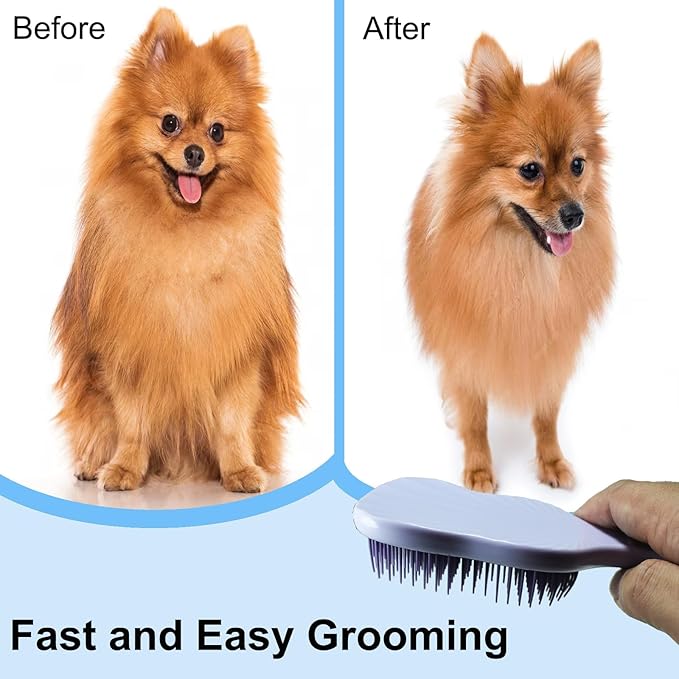 Soft Bristle Puppy Brush for Small Dogs - Gentle Grooming Brush for Shih Tzu, Yorkie, Maltese & Maltipoo. Effective Dog Hair Remover for Tangles & Shedding (Purple)