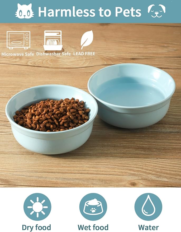 5.3 Inch Blue Ceramic Small Dog Bowl Sets - Porcelain Wide Mouth Cat Food or Water Bowls, Cute Feeding Bowls for Indoor Small Size Dog, for Wet or Dry Food