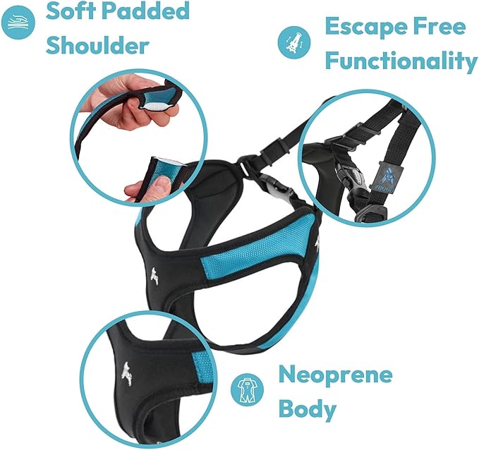 Gooby - Escape Free Easy Fit Harness, Small Dog Step-In Harness for Dogs that Like to Escape Their Harness, Purple, X-Small