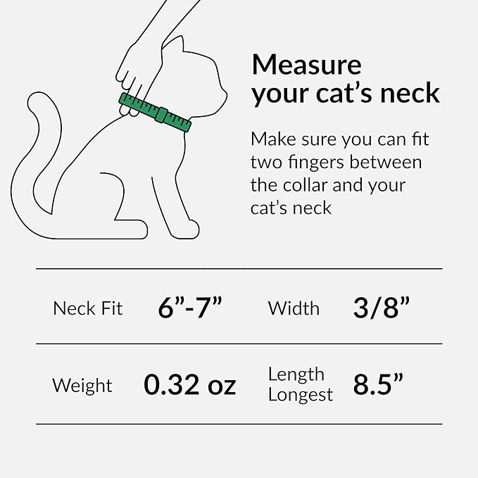 CollarDirect Leather Cat Collar with Bell - Kitten Collar, Small and Big Cat Collar for Boy Cats, Girl Cats with Safety Elastic Strap (Neck Fit 6"-7", Black)