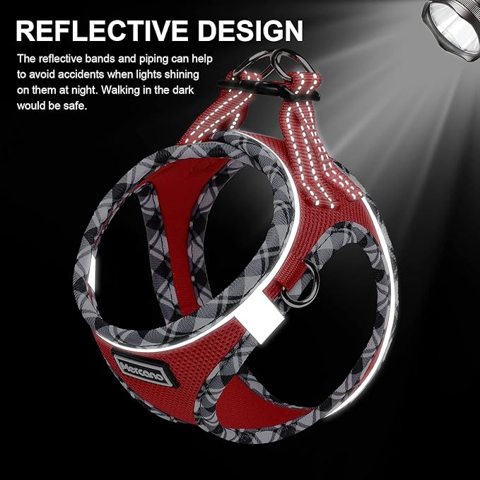 Mercano Soft Mesh Dog Harness and Leash Set, No-Chock Step-in Reflective Breathable Lightweight Easy Walk Vest Harnesses with Safety Buckle for Small Dogs, Cats (Red, XS)