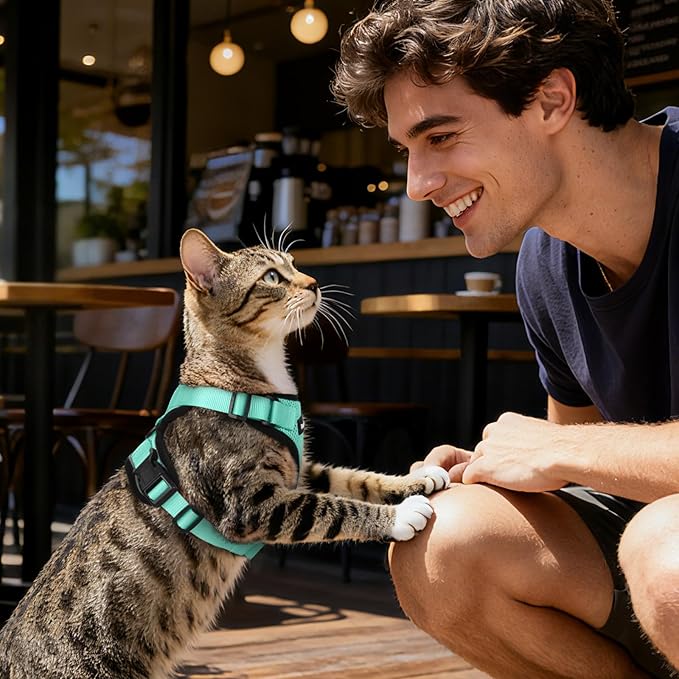 Dooradar Cat Harness and Leash Set, Escape Proof Safe Adjustable Kitten Vest Harnesses for Walking, Easy Control Soft Breathable Mesh Jacket with Reflective Strips for Cats, Green, M