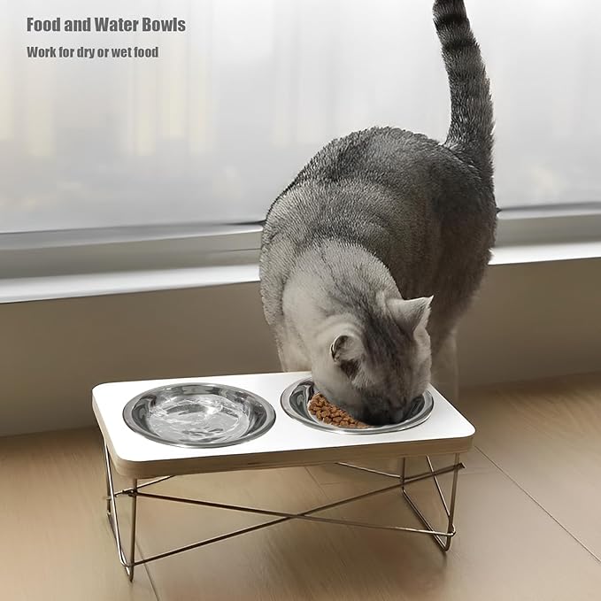 4 Pcs Stainless Steel Cat Bowls, 5.5 Inch Whisker Friendly Shallow Cat Food Bowls, Small Metal Pet Dish for Kittens and Indoor Cats, Basic Replacement Plates for Elevated Feeder Stands,Dishwasher Safe