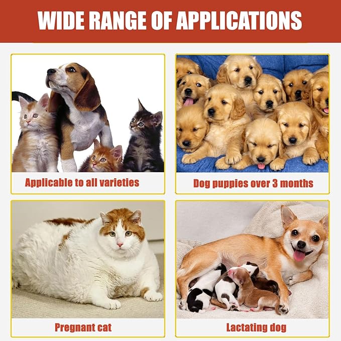 Styptic Powder for Dogs, Quick Stop Bleeding for Dogs Nails, Minor Cuts, Scratches, Blood Stop Powder with Herbal Support, Gentle & Sting-Free, 50g